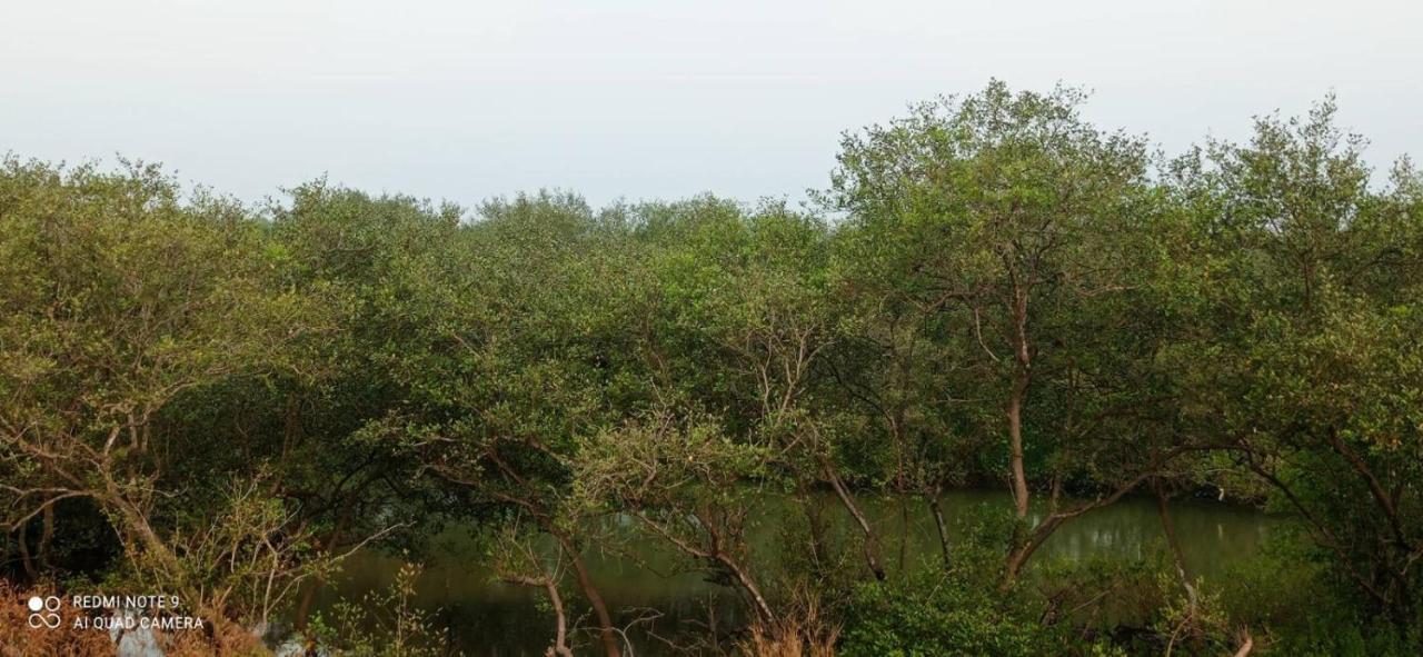 Shruthi'S Aarohi-Nature'S Retreat Mulappilangād 外观 照片