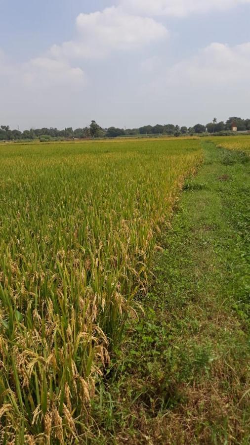 Shruthi'S Aarohi-Nature'S Retreat Mulappilangād 外观 照片