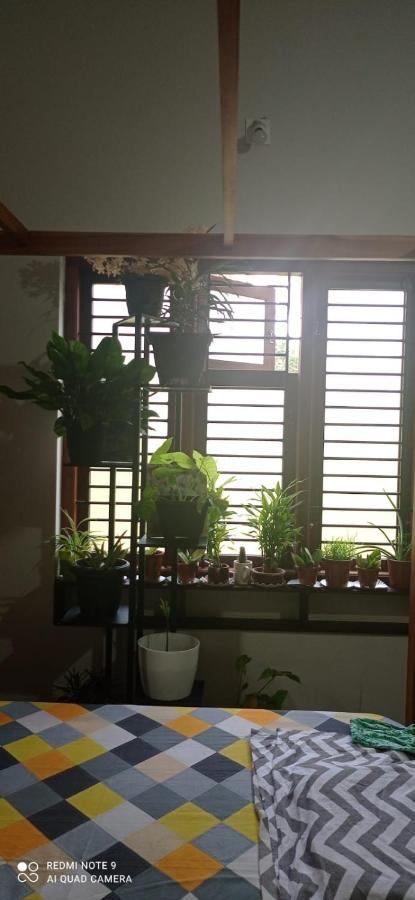 Shruthi'S Aarohi-Nature'S Retreat Mulappilangād 外观 照片