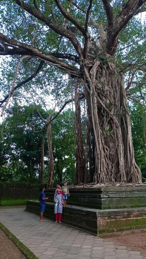 Shruthi'S Aarohi-Nature'S Retreat Mulappilangād 外观 照片