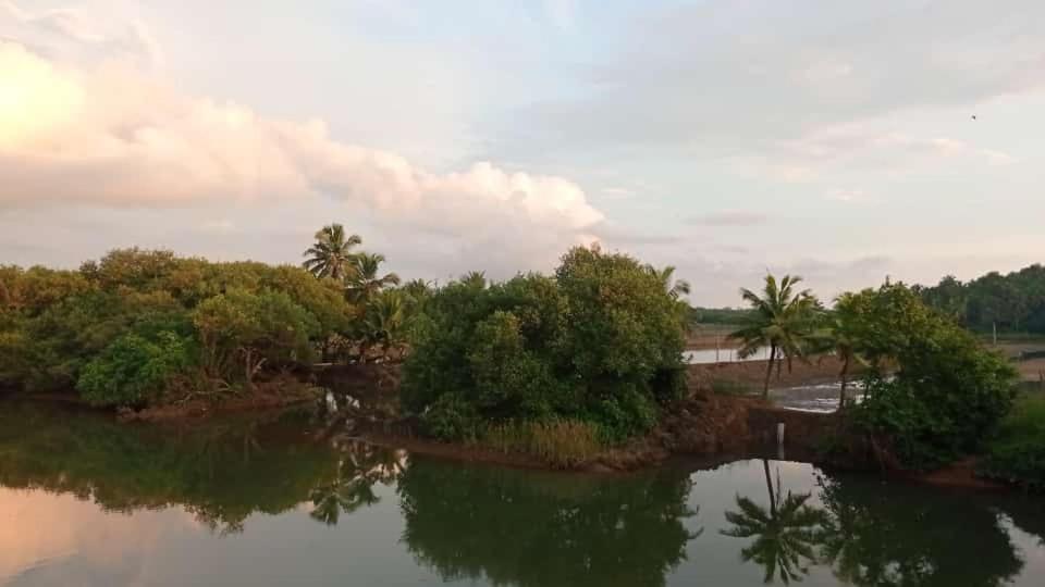 Shruthi'S Aarohi-Nature'S Retreat Mulappilangād 外观 照片